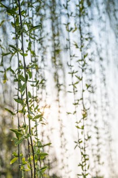  春耕一线，数智技术点亮田野；农业新质生产力加速涌现。 IT技术 春耕一线，数智技术点亮田野；农业新质生产力加速涌现。 IT技术