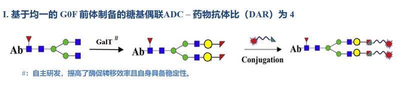  双靶点ADC药物迈向III期；康宁杰瑞JSKN016首例给药完成；三阴性乳腺癌治疗迎来潜在突破 健康养生