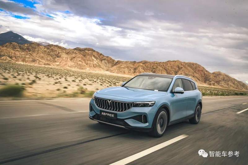  卖一辆车亏损超十三万：岚图汽车资本与经营的深度复盘 股票财经