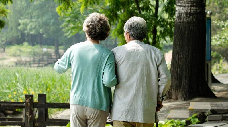  钢铁经纬下的地缘重构：中越标准轨铁路的深层逻辑与辐射价值 新闻