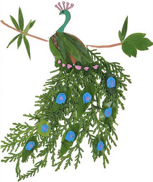  沉默的柳叶与热腾的青团：一场关于教育的突围实验 教育招生