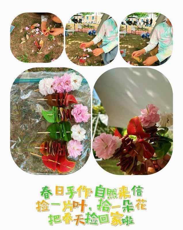  沉默的柳叶与热腾的青团：一场关于教育的突围实验 教育招生