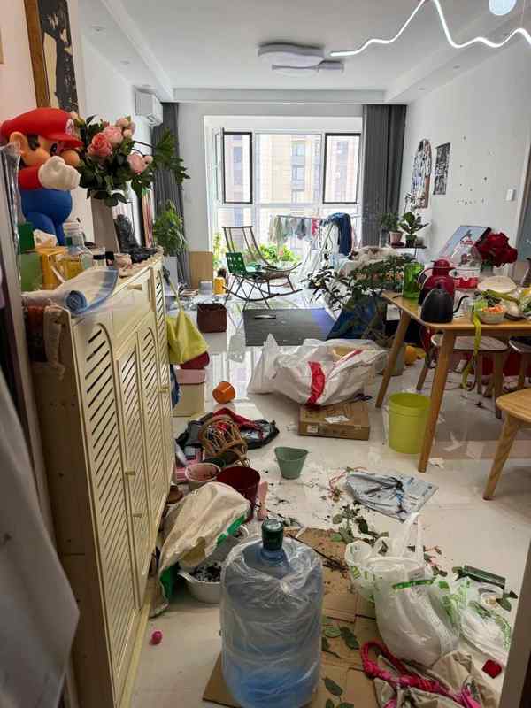  从“收纳强迫症”到“空间失控”：拆解中国家庭凌乱的六大认知陷阱 新闻