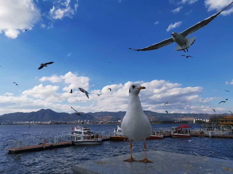  解码县域经济崛起：六张“千亿面孔”背后的产业逻辑与突围路径 新闻