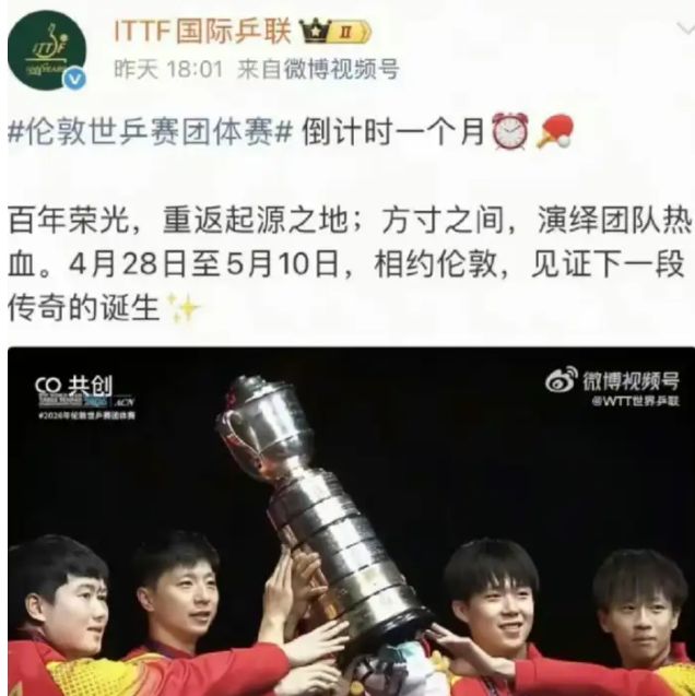  从强制规则到制度变革：樊振东退赛事件的技术复盘与深层逻辑 体育新闻