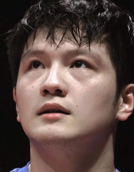  从强制规则到制度变革：樊振东退赛事件的技术复盘与深层逻辑 体育新闻