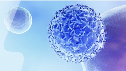  【技术解码·价值重估】56亿美元授权背后：荣昌生物PD-1/VEGF双抗的技术护城河 新闻