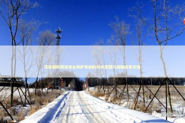 深度解析网络安全防护机制的技术逻辑与战略应用价值 新闻