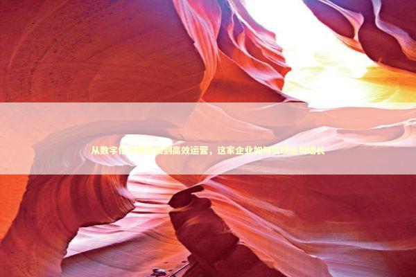 从数字化转型困局到高效运营，这家企业如何实现逆势增长