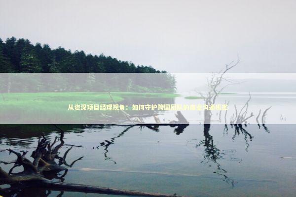 从资深项目经理视角：如何守护跨国团队的商业沟通机密