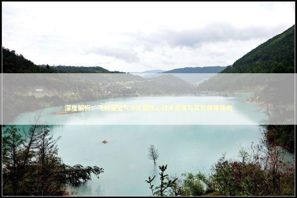 深度解析：飞利浦空气净化器核心技术原理与高效使用指南 家电市场